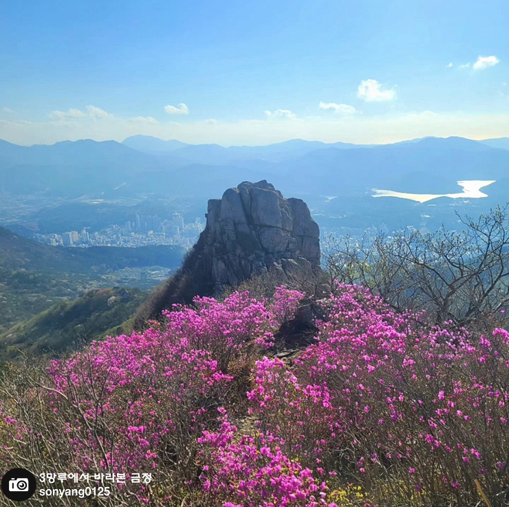 18-1-1cw12 2023지금여기 4월 선정작